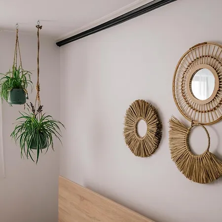 1 Bedroom House Prázdninový dům Năvodari